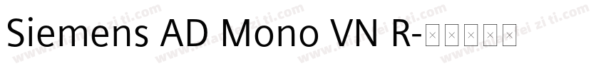 Siemens AD Mono VN R字体转换
